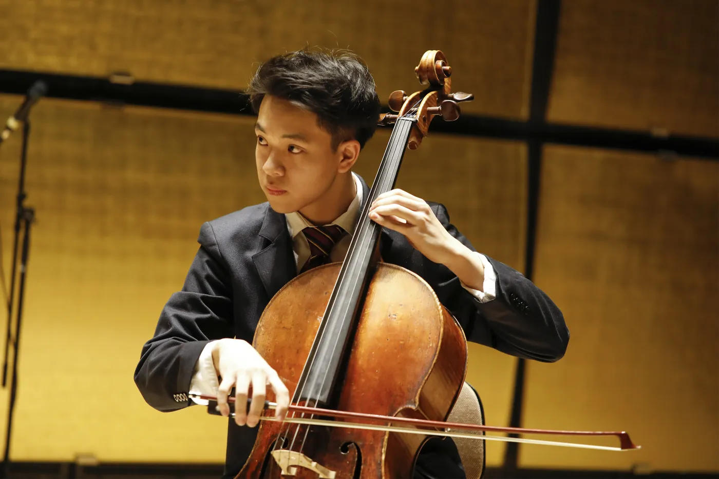 Amadeus Vienna — music performance